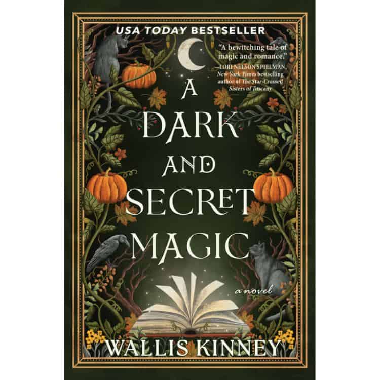 A Dark and Secret Magic by Wallis Kinney book cover.